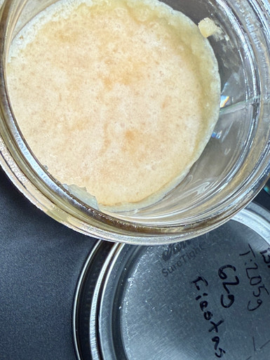 Big M Cannabis Extracts Badder - Fiestas